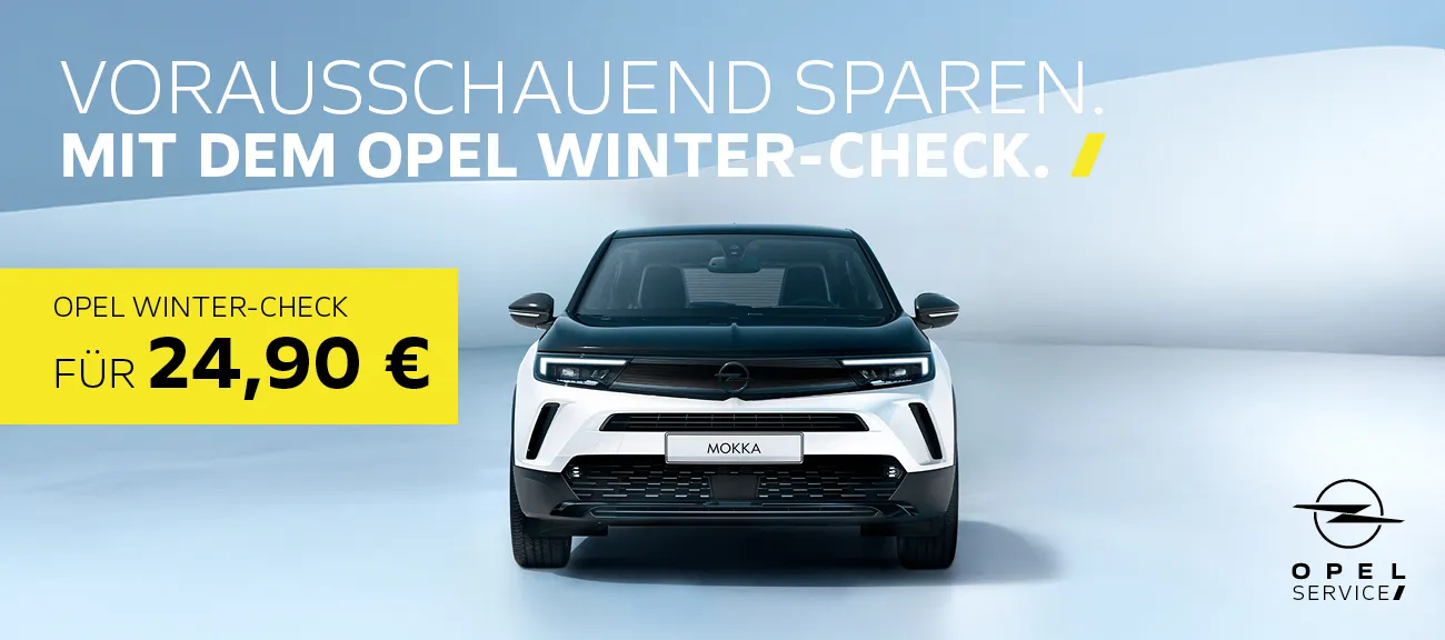 Opel Winter-Check Service