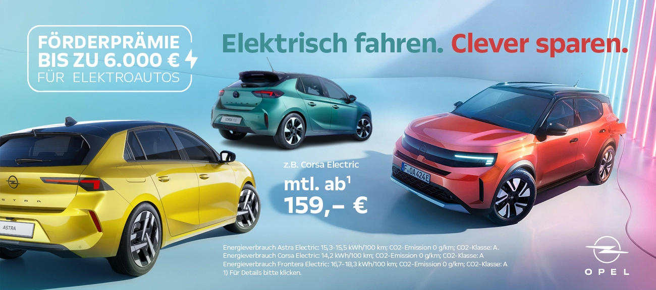 Online Opel e-Förderprämie